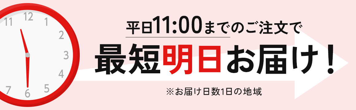 平日11時までのご注文で最短明日お届け